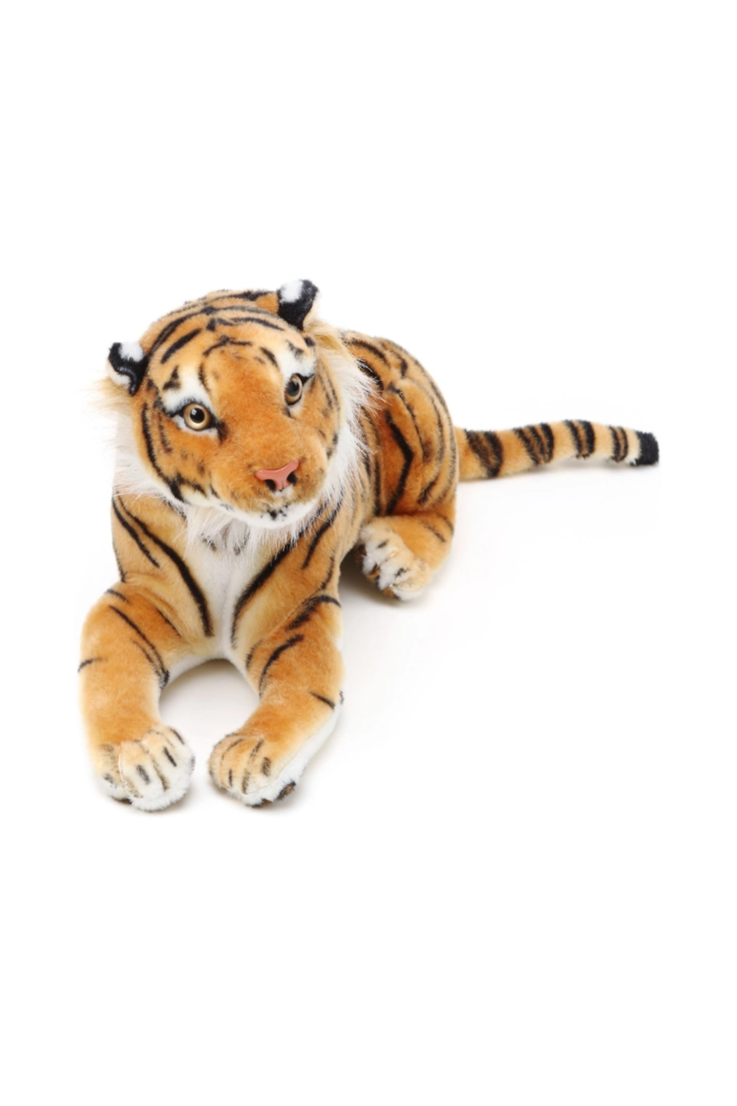 Arrow the Tiger