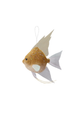 Foam Fish Ornament