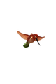 Glass Hummingbird Ornament