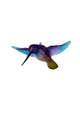 Glass Hummingbird Ornament